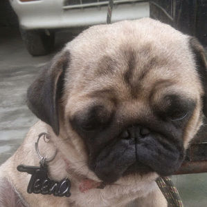 Meet your Posher, Amaninder